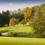 Golfpark Waldkirch